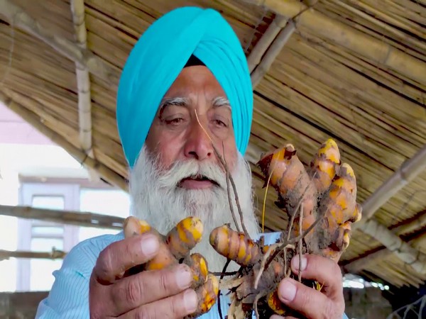 Dr Sukhdev Singh, a retired government officer with turmeric. (Photo) 