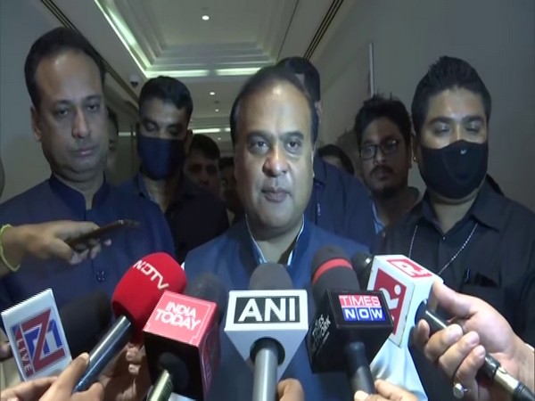 Assam Finance Minister Himanta Biswa Sarma. (File pic)