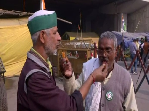 Farmers distribute 'jalebis' at Gazipur border after repeal of farm laws. (Photo/ANI) 