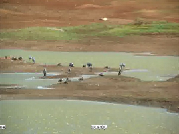 Visuals from Coimbatore. Photo/ANI