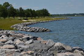 Contaminants of emerging concern, including pharmaceuticals and personal care products, are increasingly found at low levels in surface water, according to the US Environmental Protection Agency.