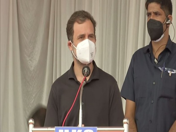 Congress leader Rahul Gandhi in his parliamentary constituency Wayanad today. (Photo/ ANI)