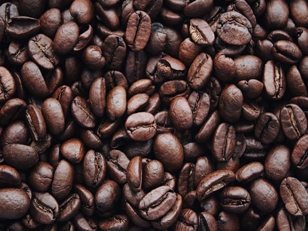 
    Climate change is affecting availability of good coffee
    