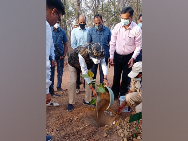 Madhya Pradesh Chief Minister Shivraj Singh Chouhan planting a banyan sapling. 