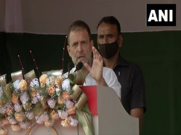 Congress leader Rahul Gandhi (Photo/ANI)