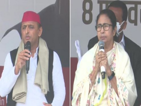Akhilesh Yadav and Mamata Banerjee in a rally in Lucknow (Photo/ANI) 