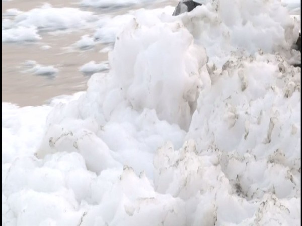 Frothing in Yamuna River at Kalindi Kunj (Photo/ANI)