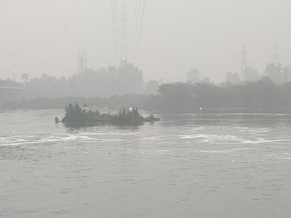 A visual of Yamuna river (File photo)
