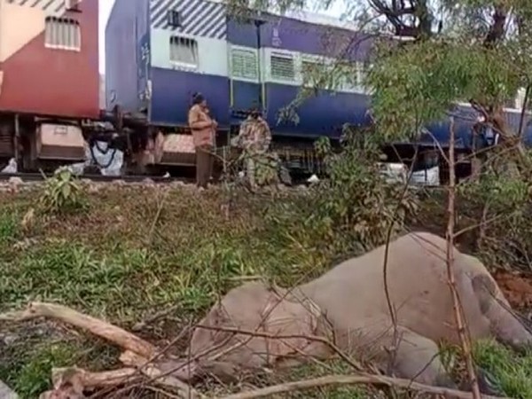 Visual of the site of inicident in Uttarakhand (Photo/ANI)