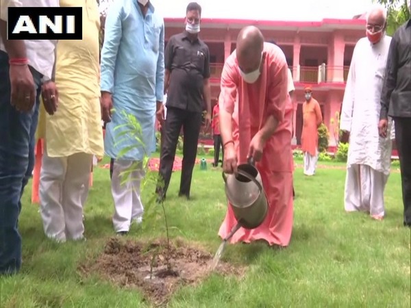 Uttar Pradesh CM Yogi Adityanath plants sapling in Gorakhpur.