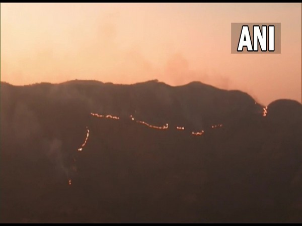 Visual of forest fire erupting near Kodaikanal hills in Tamil Nadu's Dindigul. (Photo/ANI)