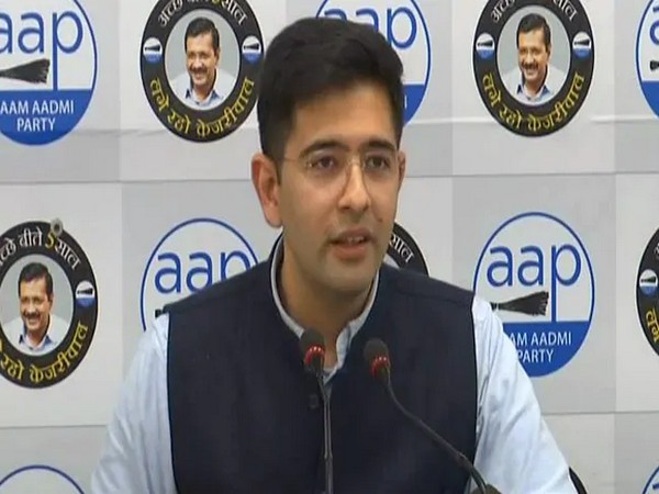 AAP leader Raghav Chadha (File photo)