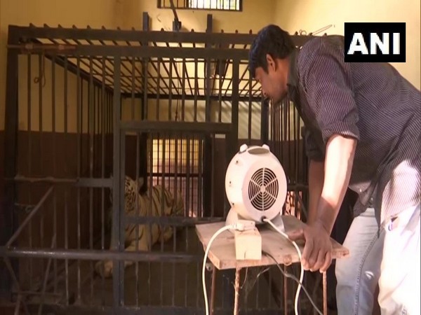Heaters placed outside the enclosure of Tiger at Guwahati Zoo 