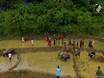 Mud, Celebration and Dread: Nepali Farmers Brace for an Uncertain Monsoon
