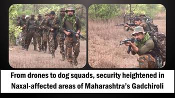 Wall Street rallies on strong earnings