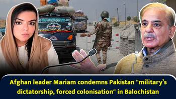 Antibiotics can increase kidney stone risk